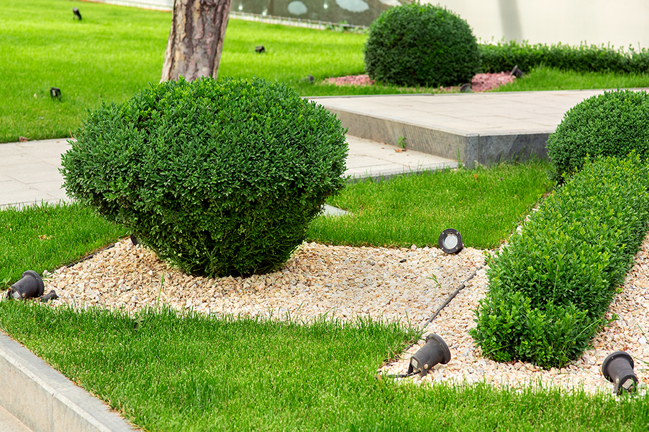 jardin entretient jardin entretient